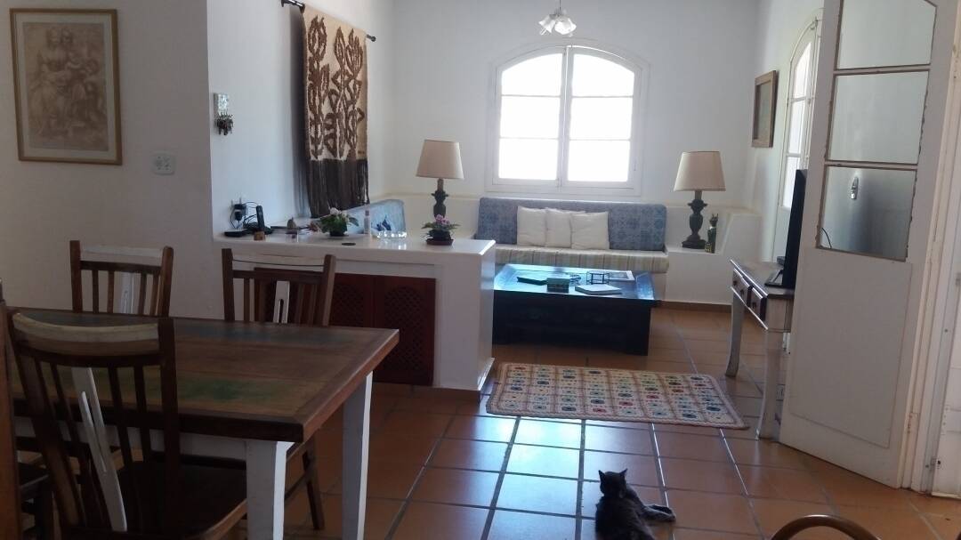 Casa, 4 quartos, 250 m² - Foto 11