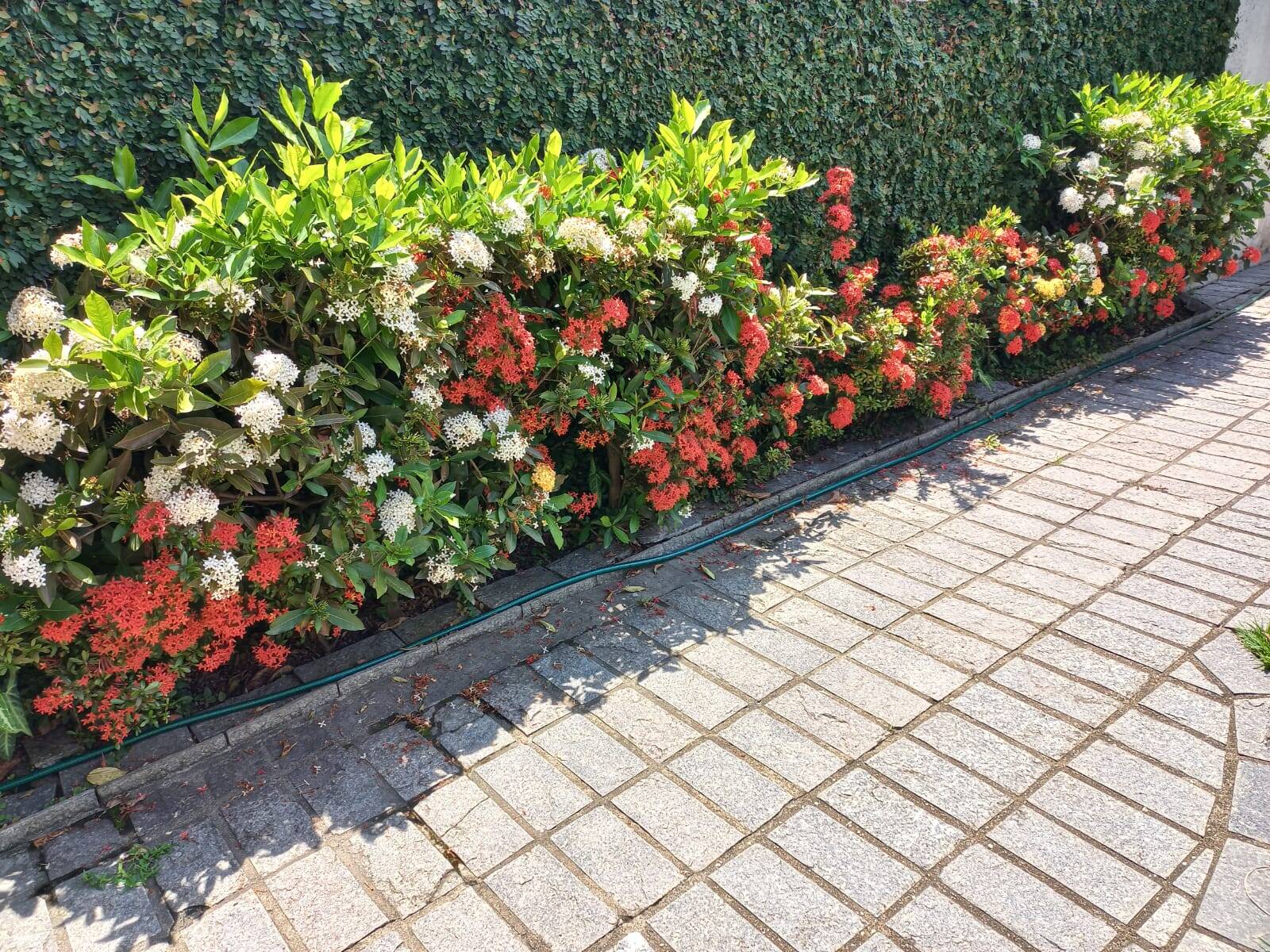 Casa, 4 quartos, 175 m² - Foto 2