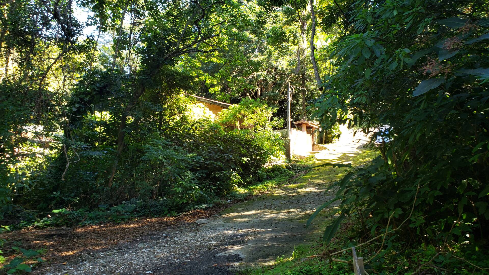 Casa, 4 quartos, 250 m² - Foto 2