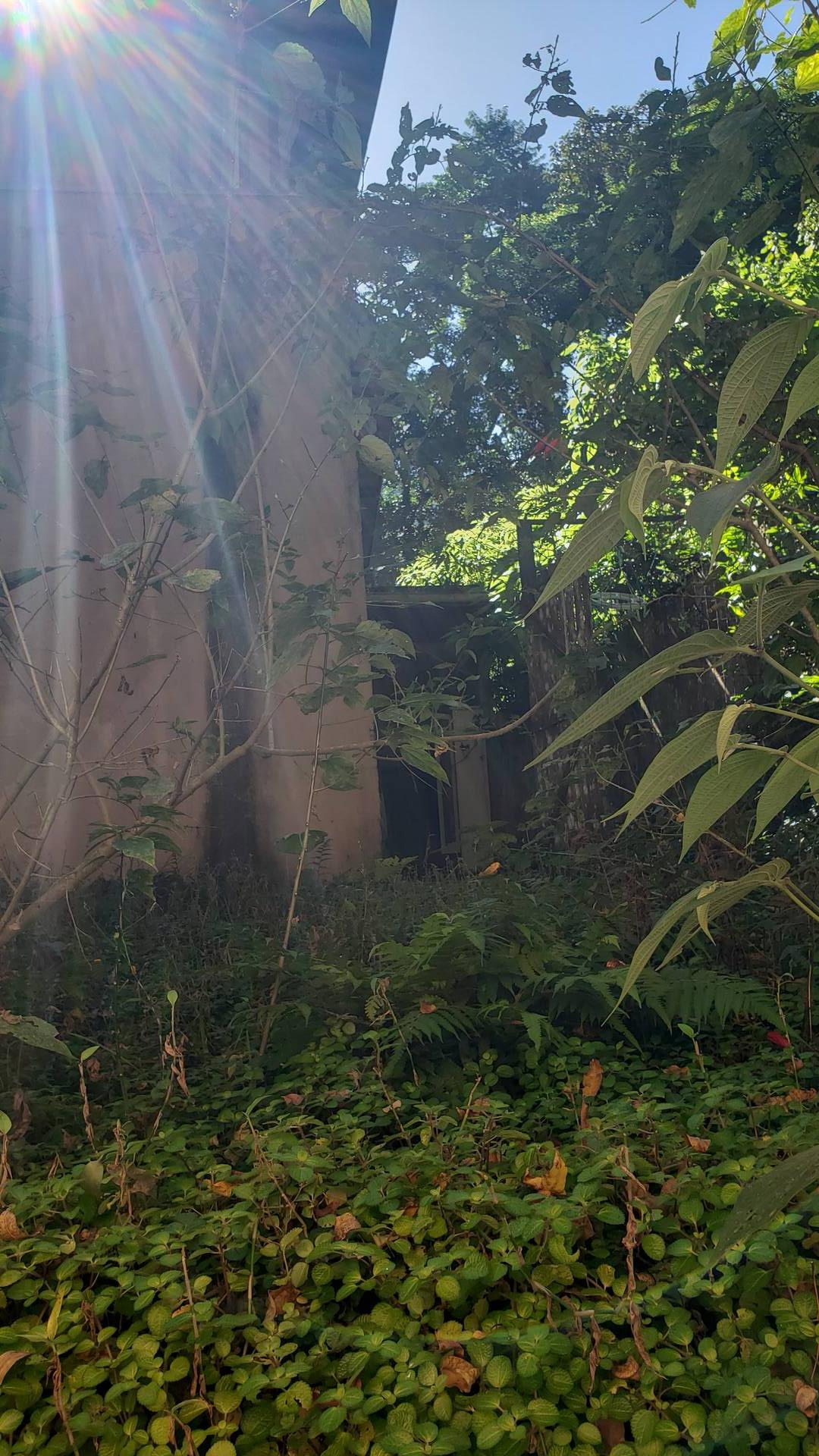 Casa, 4 quartos, 250 m² - Foto 11