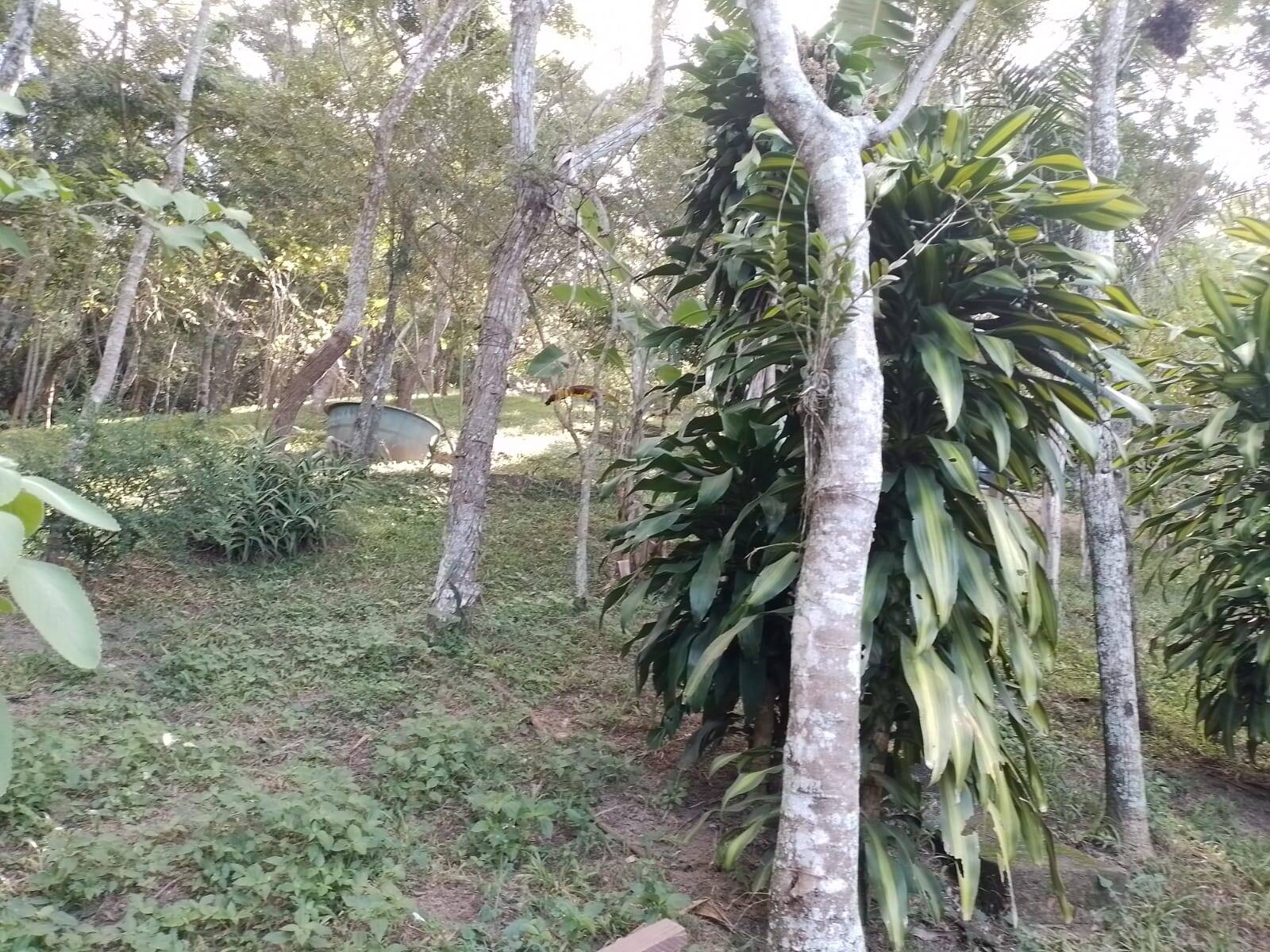 Casa de Condomínio, 4 quartos - Foto 11