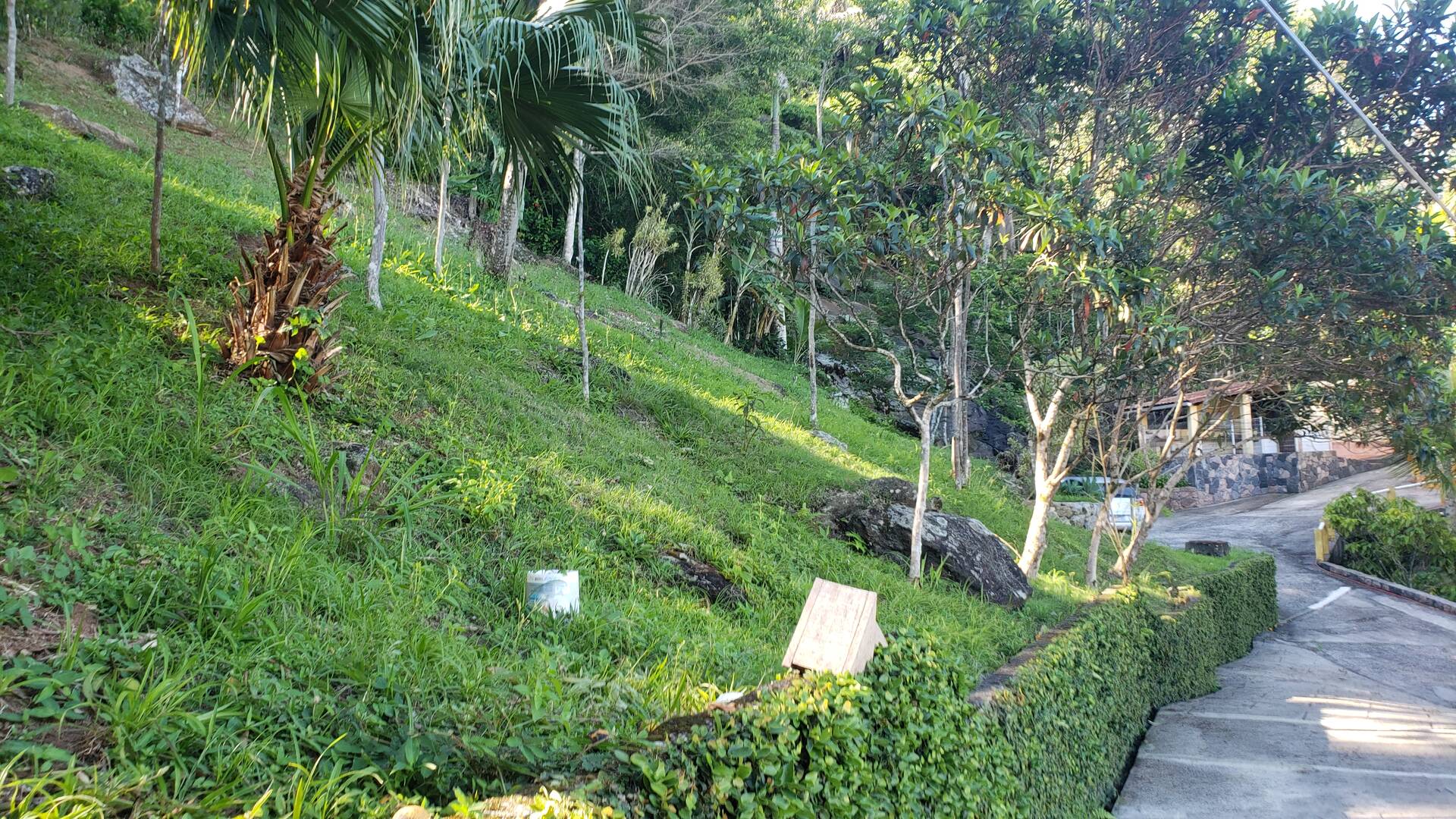 Casa, 4 quartos, 500 m² - Foto 5