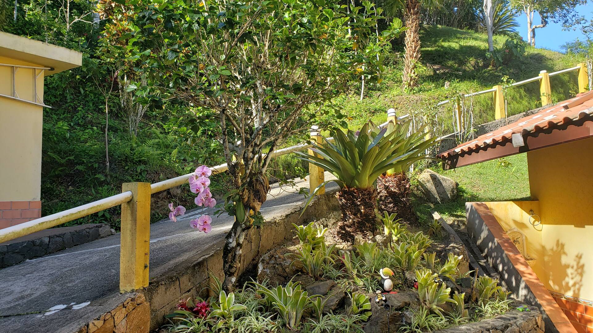 Casa, 4 quartos, 500 m² - Foto 10