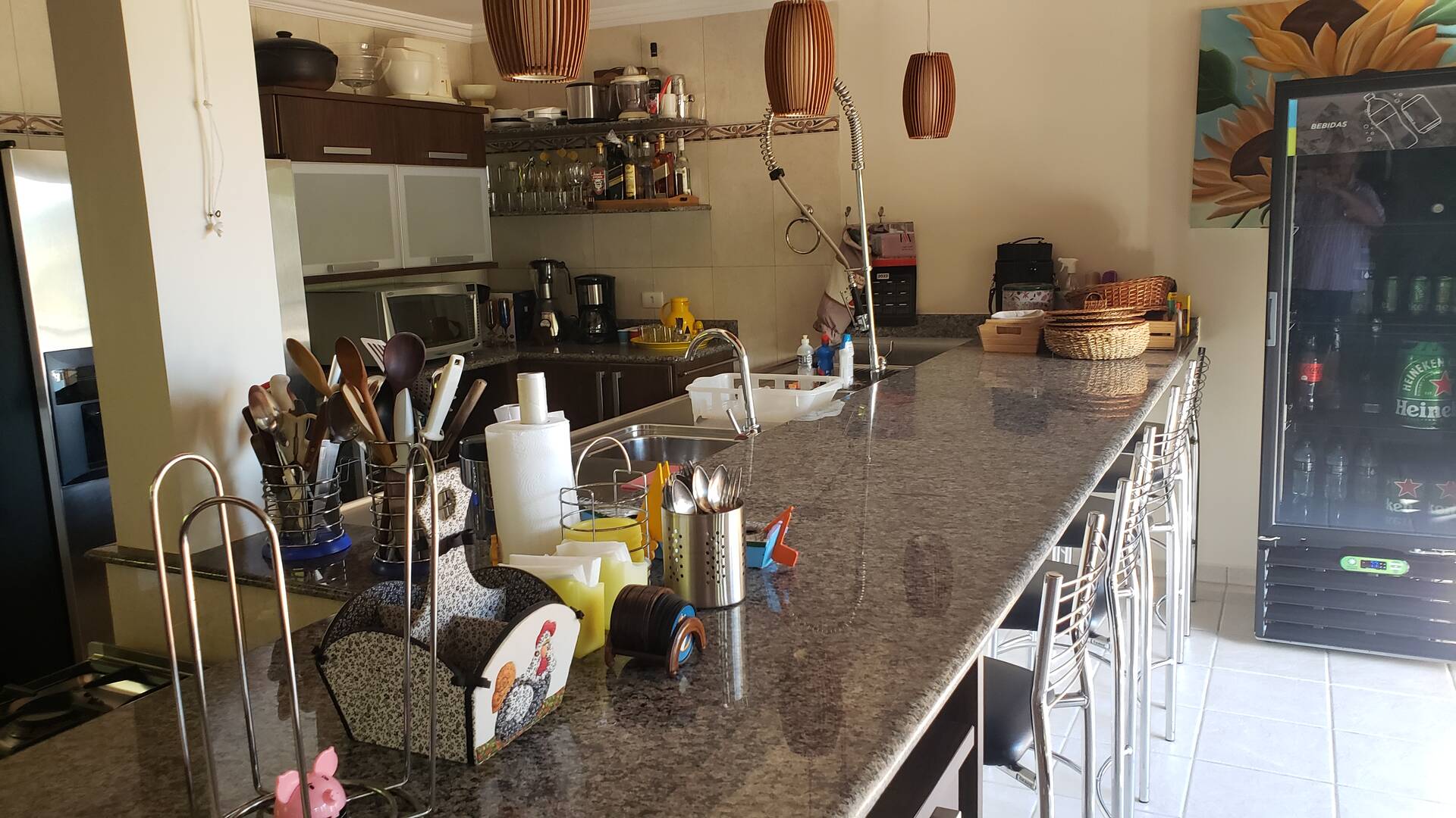 Casa, 4 quartos, 500 m² - Foto 19