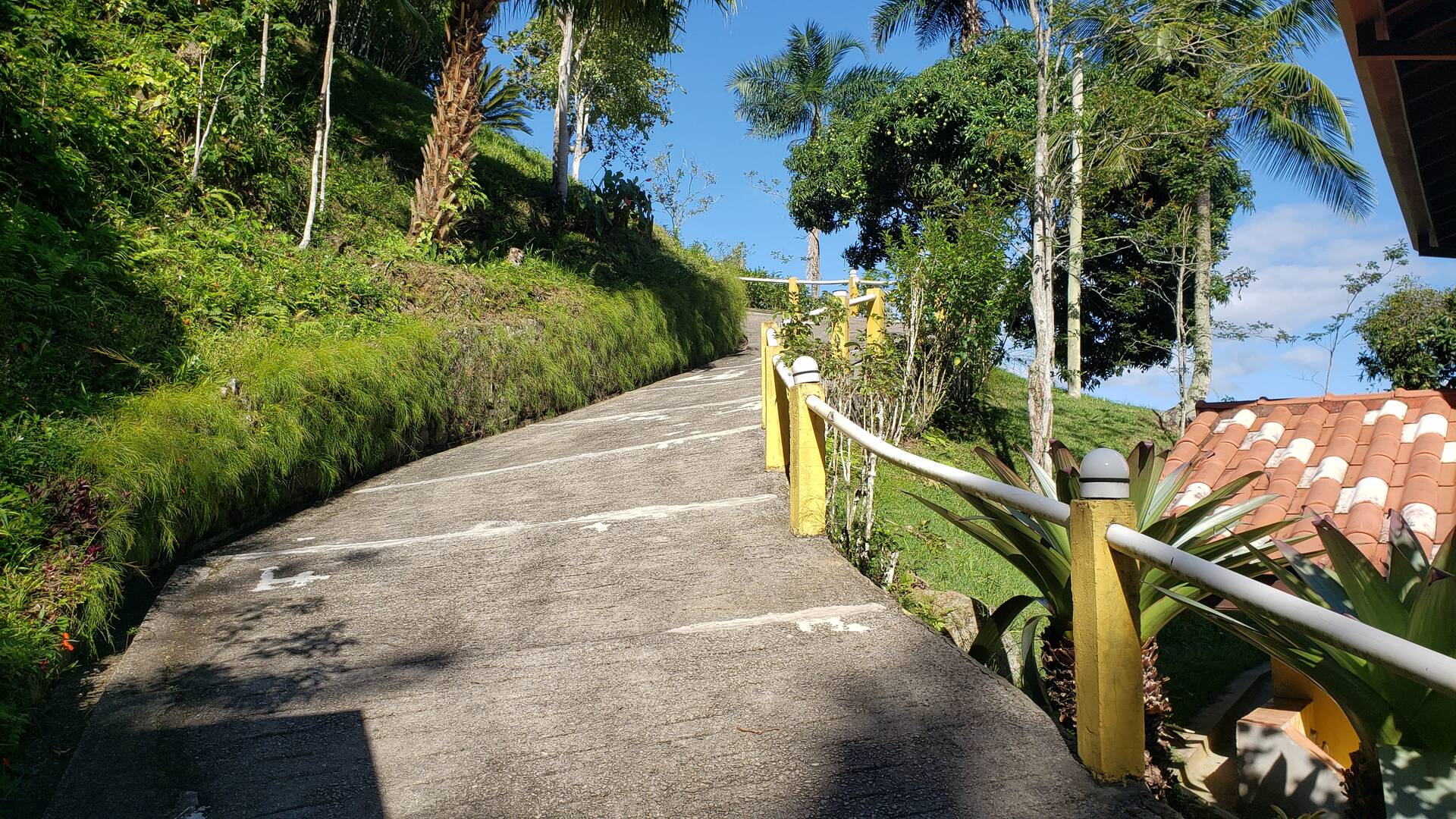 Casa, 4 quartos, 500 m² - Foto 25