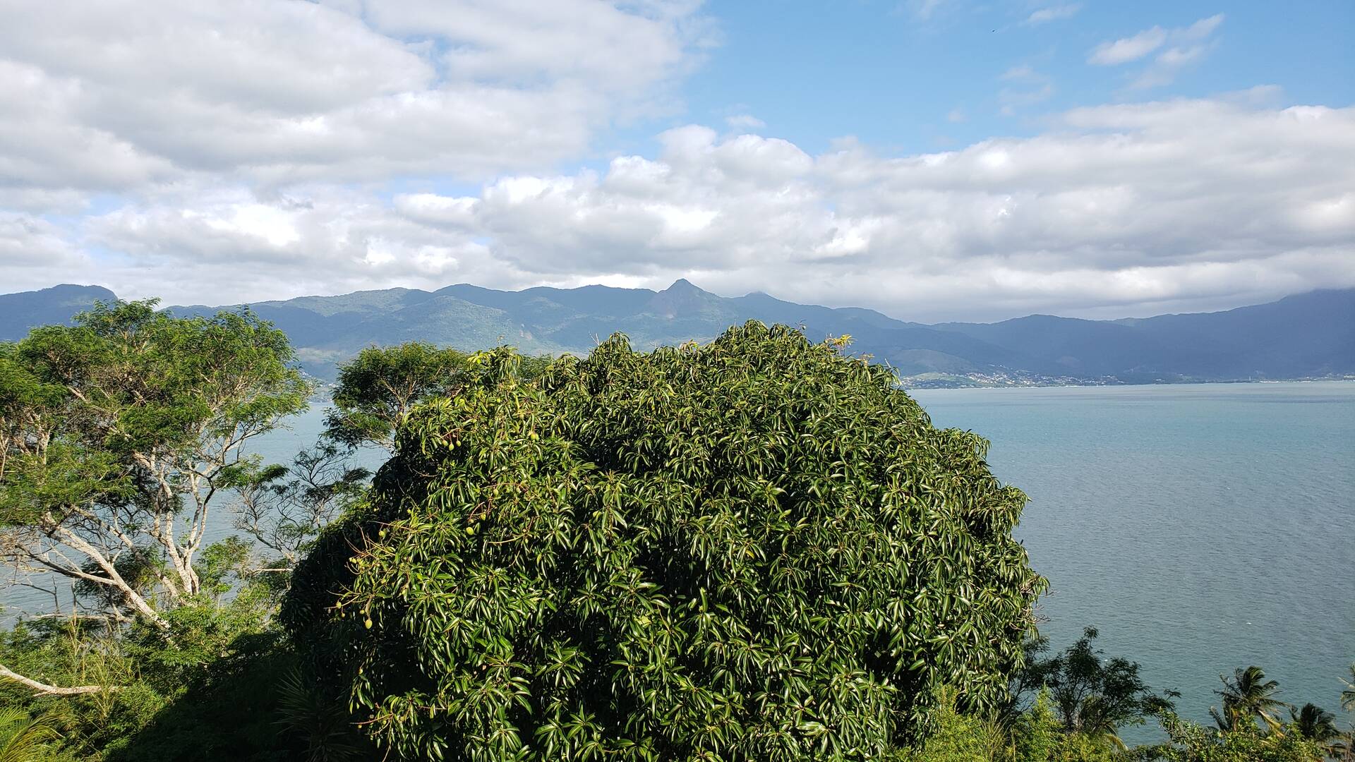 Casa, 4 quartos, 500 m² - Foto 55