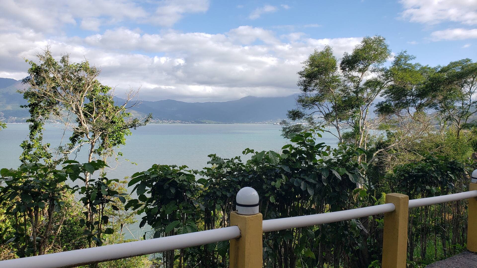 Casa, 4 quartos, 500 m² - Foto 59