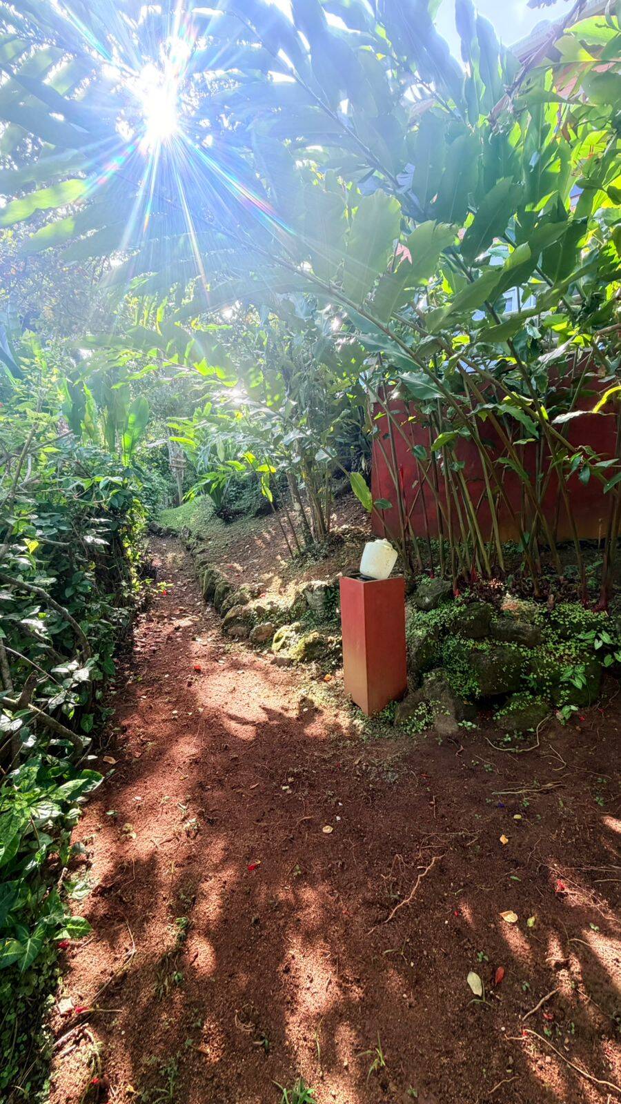 Casa, 4 quartos, 220 m² - Foto 37
