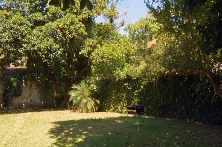 Casa, 2 quartos, 500 m² - Foto 10