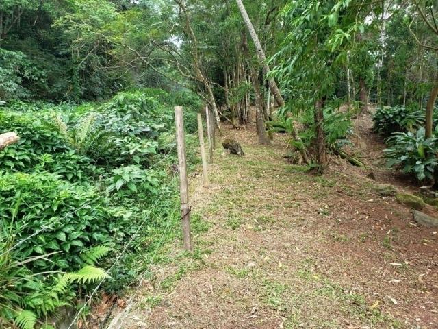 Terreno para Venda em São Sebastião - 4