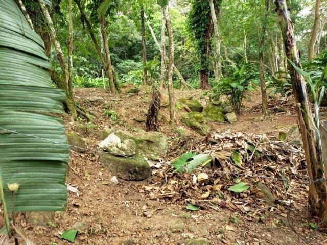 Terreno para Venda em São Sebastião - 5