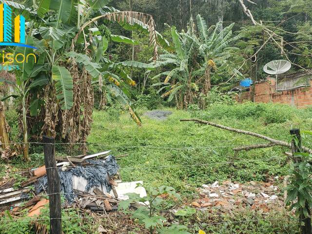 #304 - Terreno para Venda em São Sebastião - SP - 2